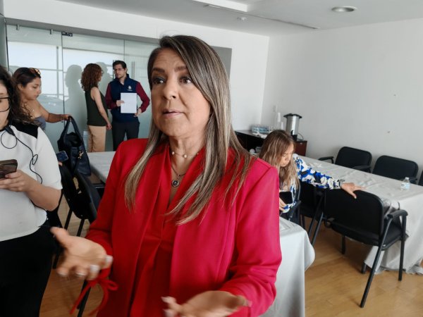 Denostan al Verde, hay procesos contra diputados de Morena y les apuran que me vaya: Rosana Díaz