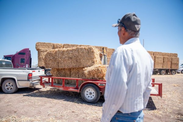 Abren la convocatoria para acceder a apoyo de esquilmos y pacas de rastrojo