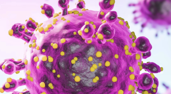 Secretaría de Salud emite aviso epidemiológico por hantavirus tras brote en crucero