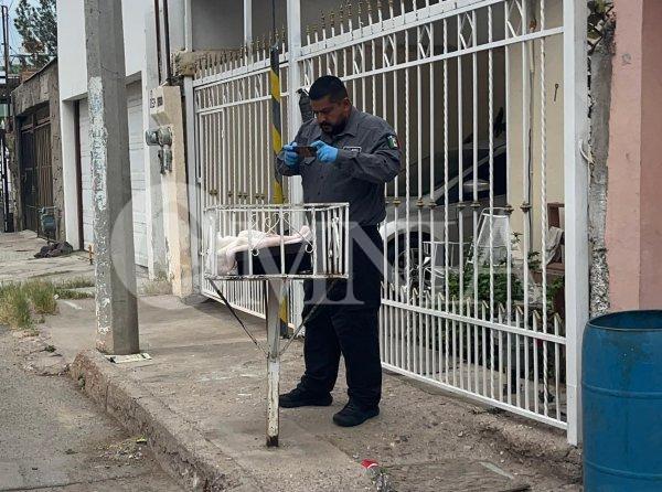 Reportan feto en una caja de zapatos; era un gatito muerto