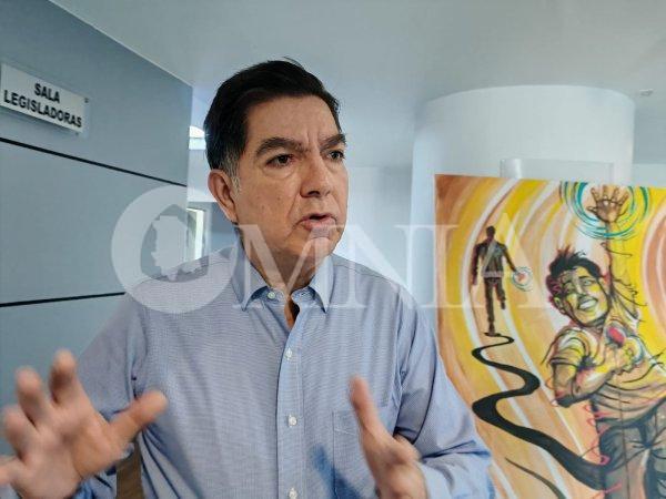 El Partido Verde no participará de marcha, es tema de Morena, ya se deslindó la presidenta: Octavio Borunda