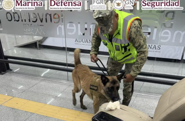 Aseguran más de 8 kilos de cocaína ocultos en silla de ruedas en el AICM