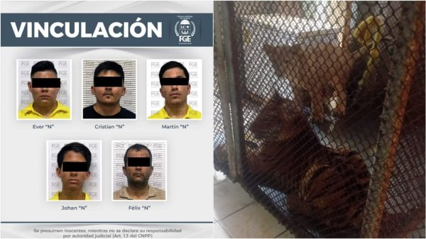 Por explotación animal, vinculan a cinco a proceso; entre ellos un exregidor suplente de Morena