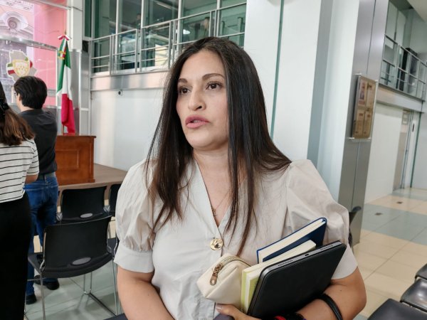 Están próximos a  caer el gobernador de Morena Américo y Mario Delgado: Rocío González
