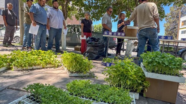 Impulsa Jesús Valenciano creación de huertos familiares con entrega de plántulas y semillas