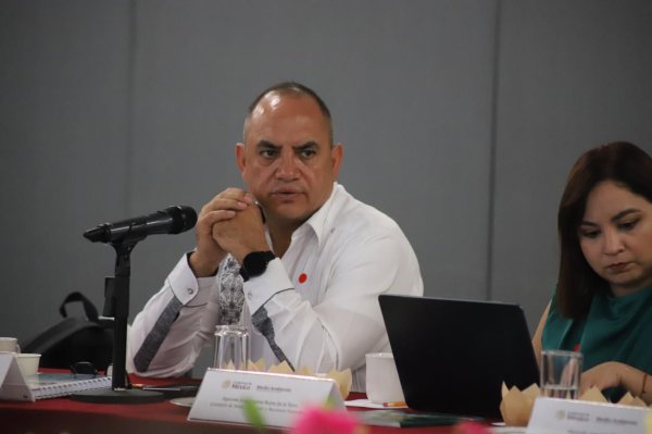 Noel Chávez gestiona ante la SEMARNAT apoyo para el combate  de plaga en los bosques de Pino .