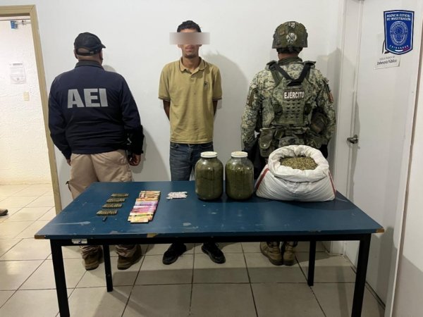Aseguran dos tigres tras arresto de hombre con semilla de mariguana y balas en Nonoava
