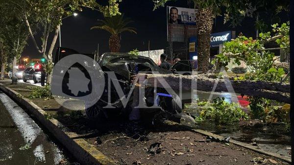 Conductora destroza su BMW X6 en árbol del Ortiz Mena