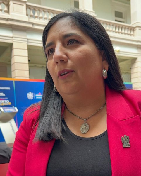 Sin solicitudes de investigación por logos de patrullas: Amelia Martínez
