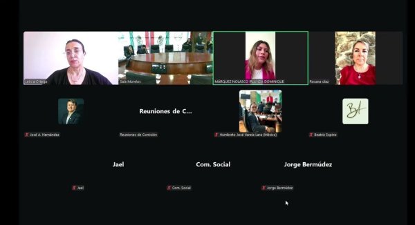 Leticia Ortega vota a favor dictamen sobre matrimonio igualitario