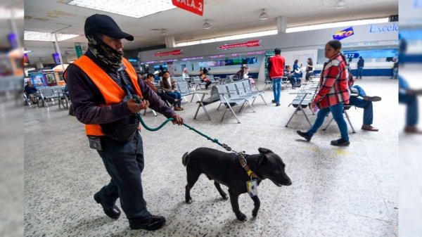 Procesan a sujeto por transportar más de 33 kilos de droga en la TAPO, en CDMX