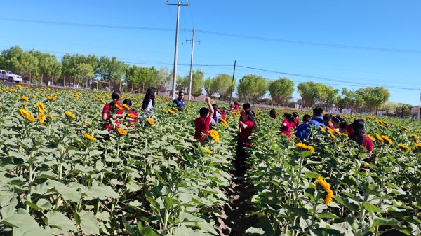 FCAyF-UACH acerca la investigación agrícola a niñas, niños y adolescentes de Delicias