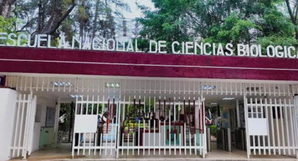 SEP entregó primera respuesta a alumnos del IPN y plantea mesa de trabajo en atención a sus demandas