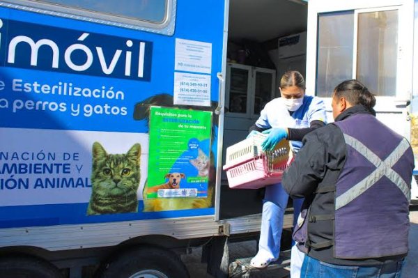 Van 3 mil 400 esterilizaciones: Rocío Reza