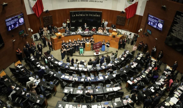 En albazo, senadores oficialistas aprueban crear comisión en INE para evitar 