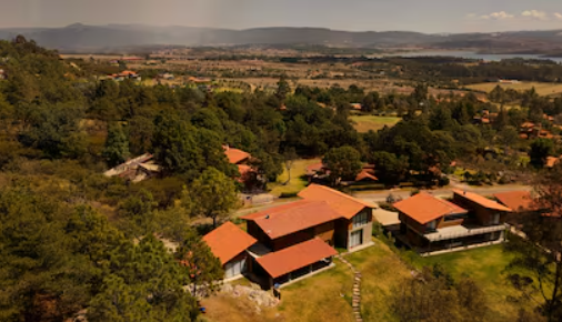Fracasa subasta de terrenos de El Mencho