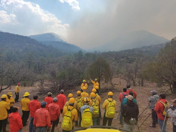 Han sido liquidados 184 incendios forestales en lo que va del año