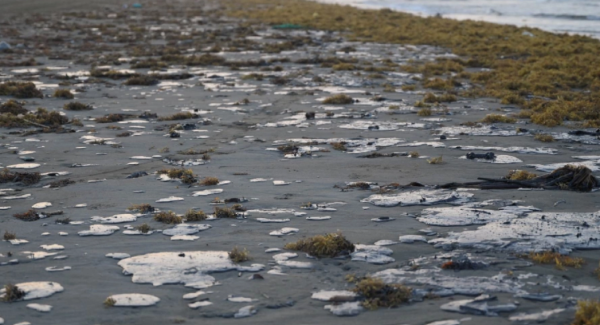Greenpeace denuncia a Pemex por derrames en el Golfo de México